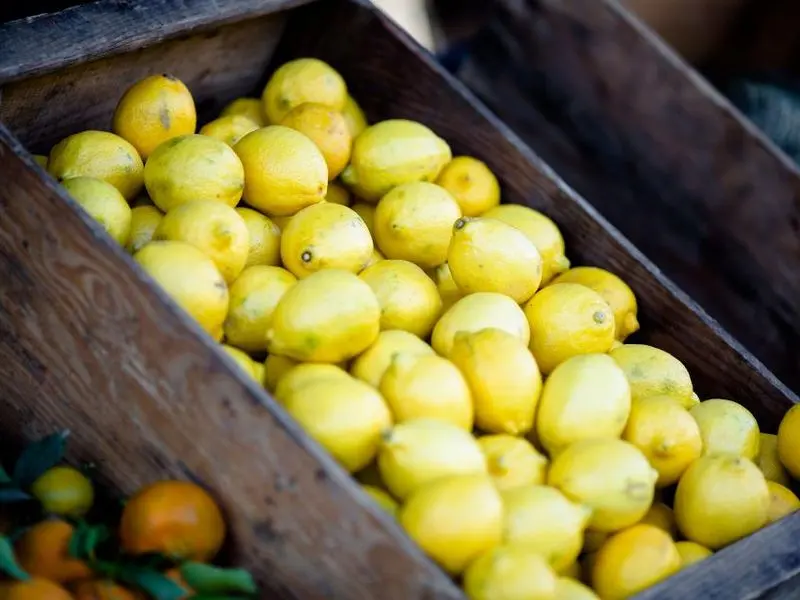 Lemon