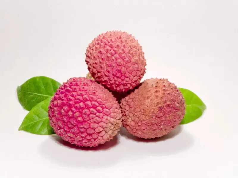 Lychee